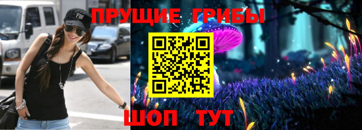 Галлюциногенные грибы Cubensis Великий Новгород